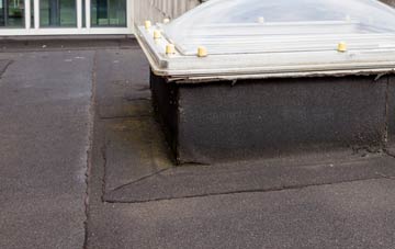 disadvantages of Fox Holes flat roofs