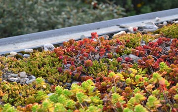 the cost of Fox Holes green roof installation