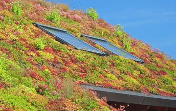 Fox Holes living roof systems