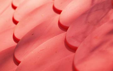 Fox Holes plastic roof costs