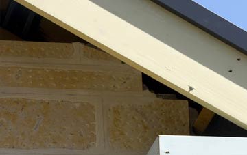 soffit repair Fox Holes