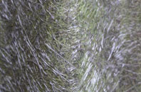 Fox Holes fibreglass roof work